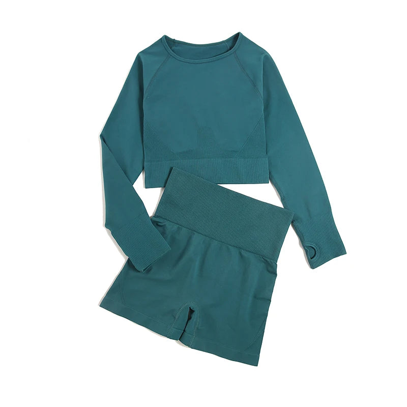 2/3/4pcs Seamless Yoga Set Gym Clothes