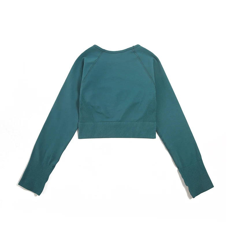 2/3/4pcs Seamless Yoga Set Gym Clothes